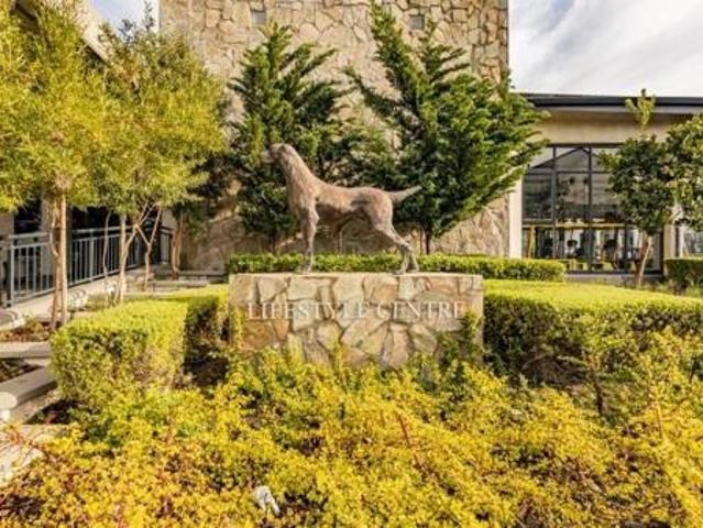 Apartment for rent in Cape Town, City of Cape Town