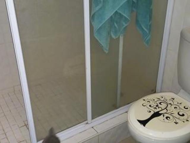 Apartment for rent in Seaview, Kwazulu-natal