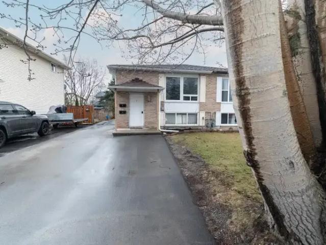 Apartment for rent in Kingston, Ontario