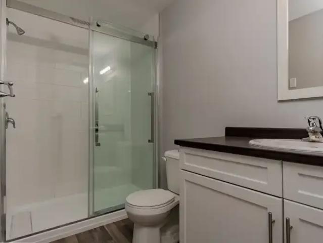 Apartment for rent in Kingston, Ontario