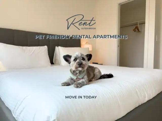 Apartment for rent in Eagle Ridge, Port Moody