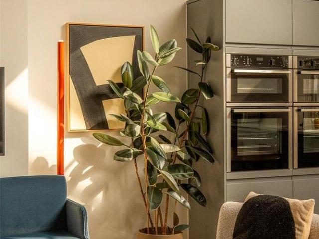 Apartment for rent in Marylebone, Greater London