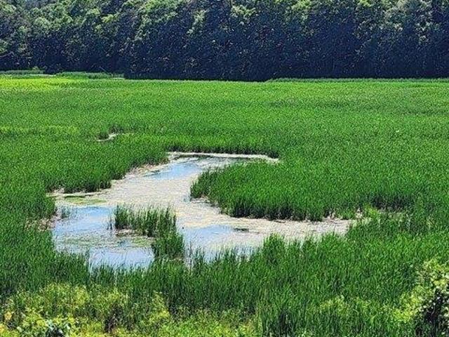 House for sale in Barnstable, Massachusetts
