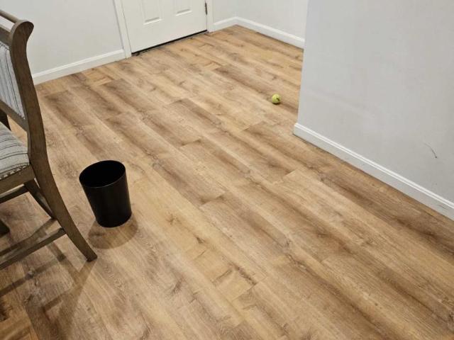 Condo for rent in Boston, Massachusetts