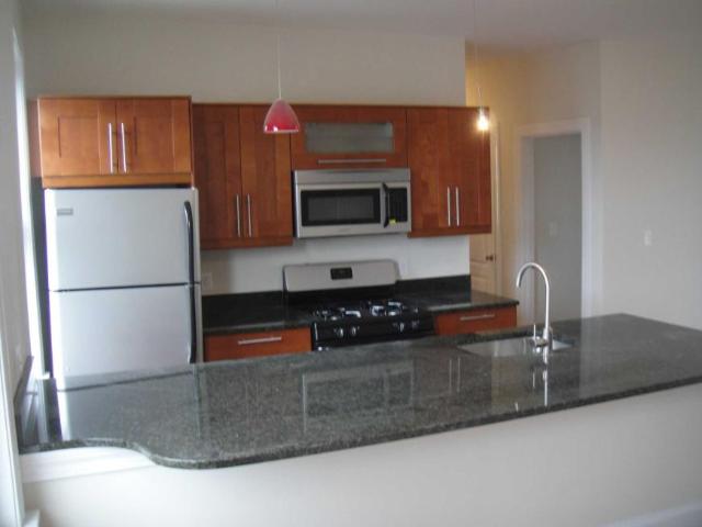 Condo for rent in Mission Hill, Boston