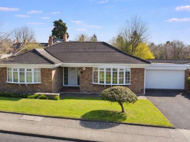 Bungalow for sale in Darlington