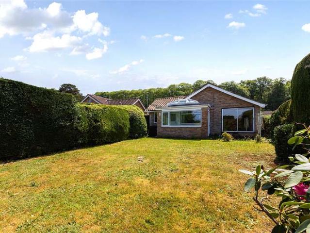 Bungalow for sale in Bolton Low Houses, Hampshire