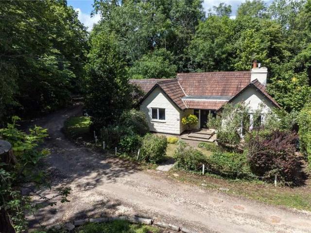 Bungalow for sale in Shalford, Westborough