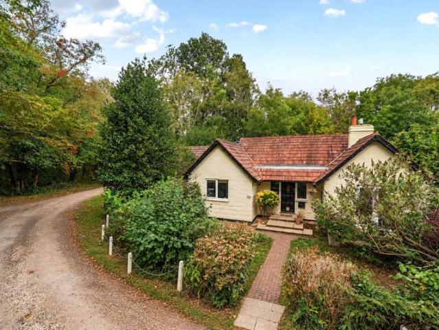 Bungalow for sale in Peasmarsh, Guildford