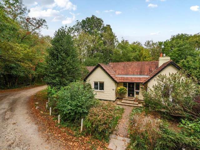Bungalow for sale in Shalford, Westborough