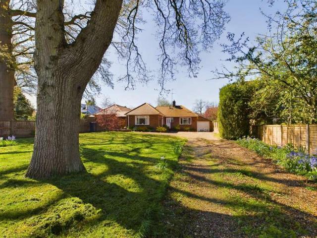 Bungalow for sale in Priest Down, Hampshire