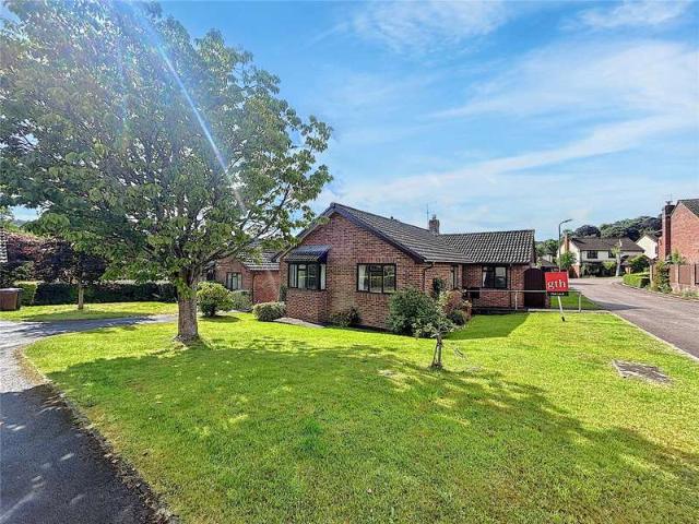 Bungalow for sale in Newton St Cyres, Devon