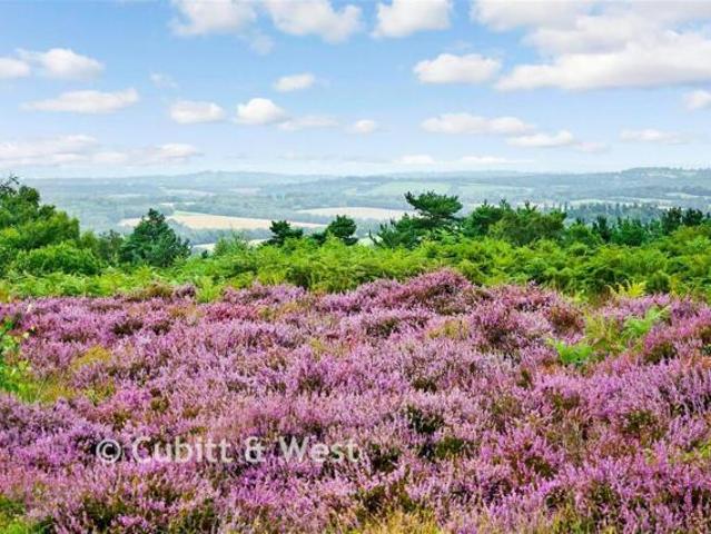 Bungalow for sale in Uckfield, Cross In Hand