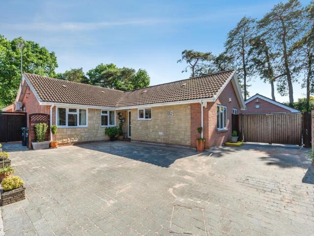 Bungalow for sale in Ashurst Bridge, Hampshire