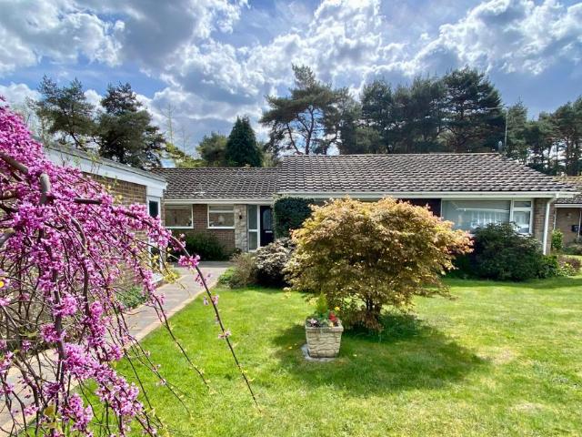 Bungalow for sale in East Dorset
