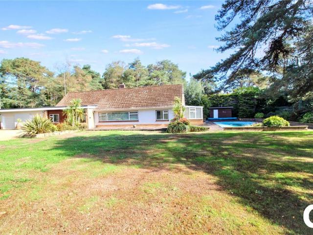 Bungalow for sale in St. Leonards and St. Ives, Dorset