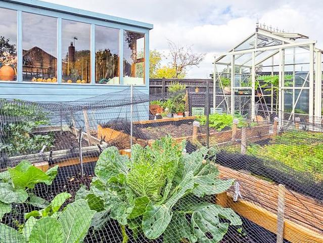 Bungalow for sale in Polegate, Wealden