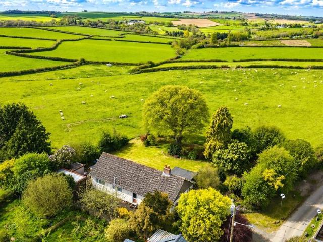 Bungalow for sale in Brandis Corner, Devon