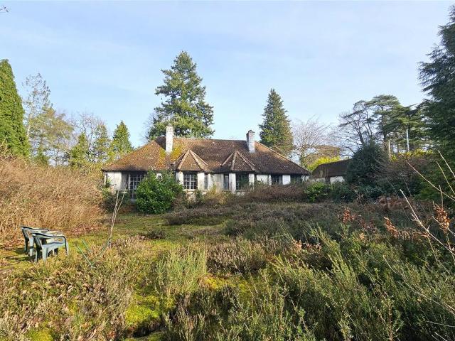 Bungalow for sale in Bolton Low Houses, Hampshire