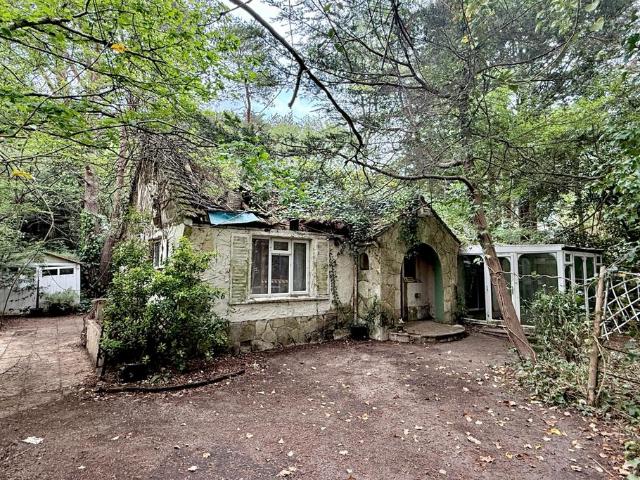 Bungalow for sale in East Dorset
