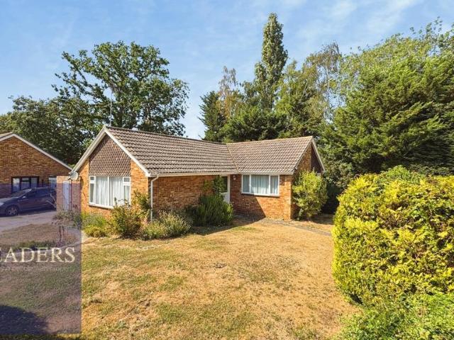 Bungalow for sale in Chipping Hill, Essex