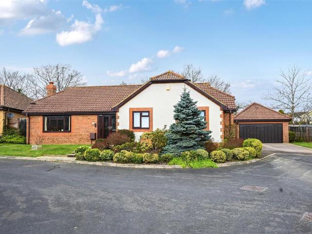 Bungalow for sale in Collington, Heathlands