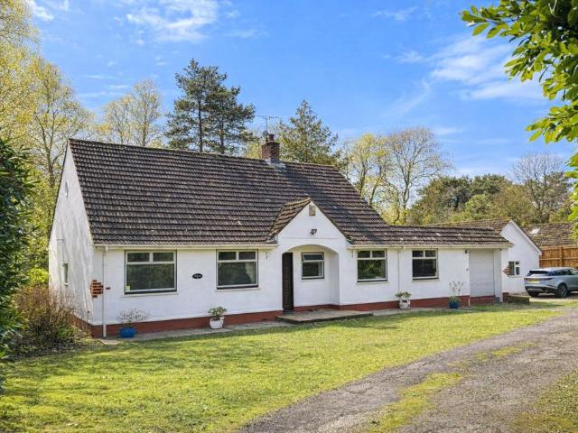 Bungalow for sale in East Dorset