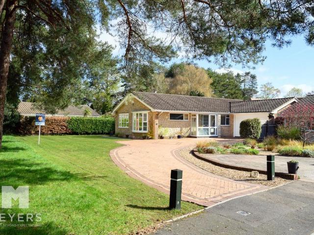 Bungalow for sale in East Dorset