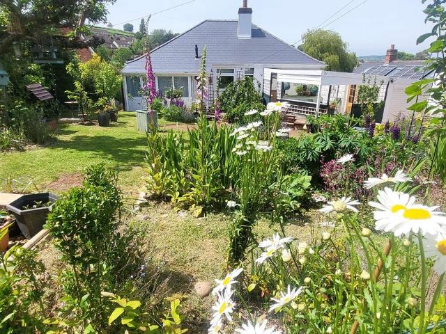 Bungalow for sale in Newton St Cyres, Devon