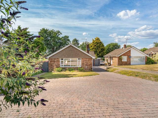 Bungalow for sale in Bolton Low Houses, Hampshire