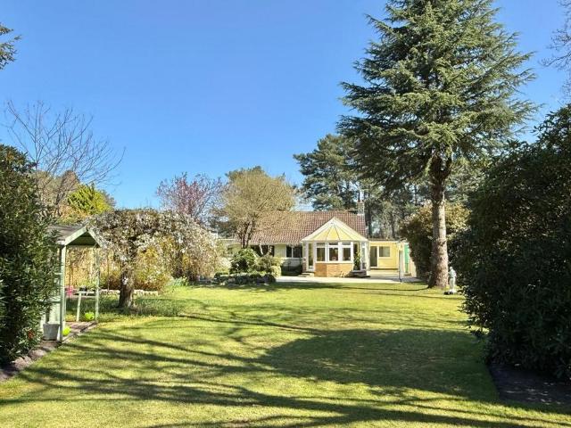 Bungalow for sale in St Leonards, East Dorset