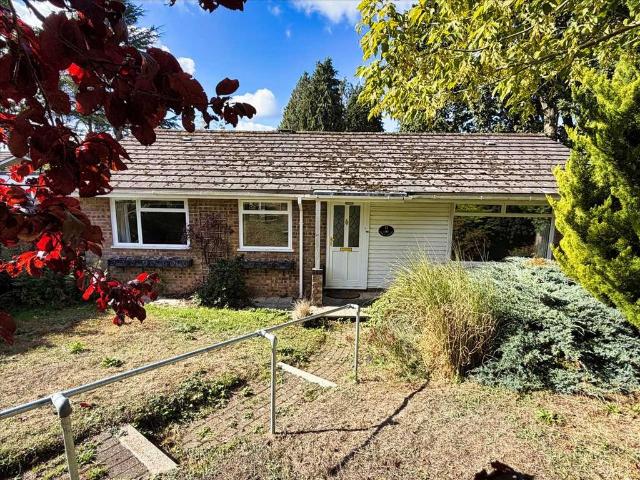 Bungalow for sale in Arford, East Hampshire