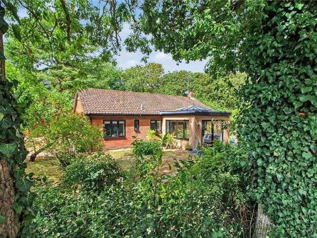 Bungalow for sale in Seething, Burgh St Peter