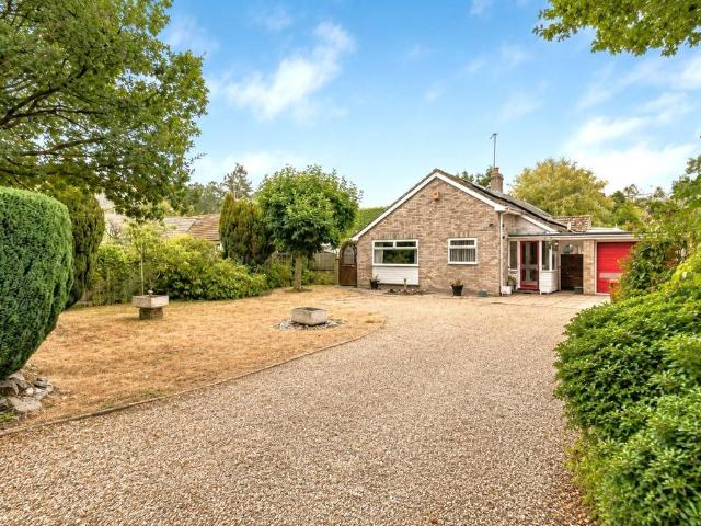 Bungalow for sale in Bolton Low Houses, Hampshire