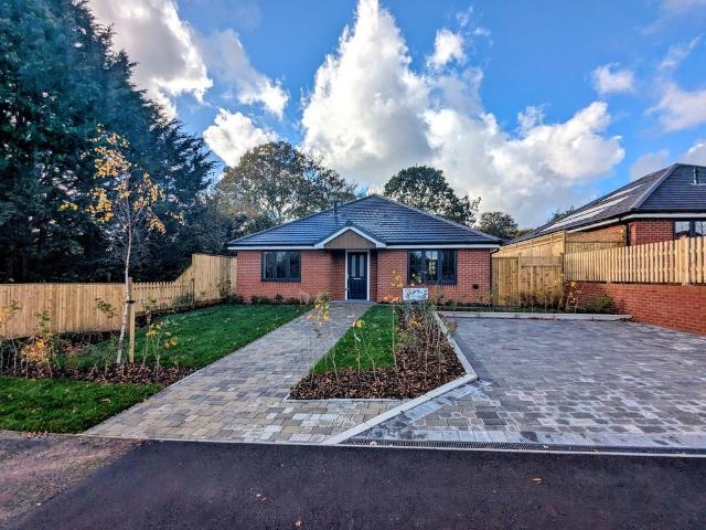 Bungalow for sale in Ashurst Bridge, Hampshire
