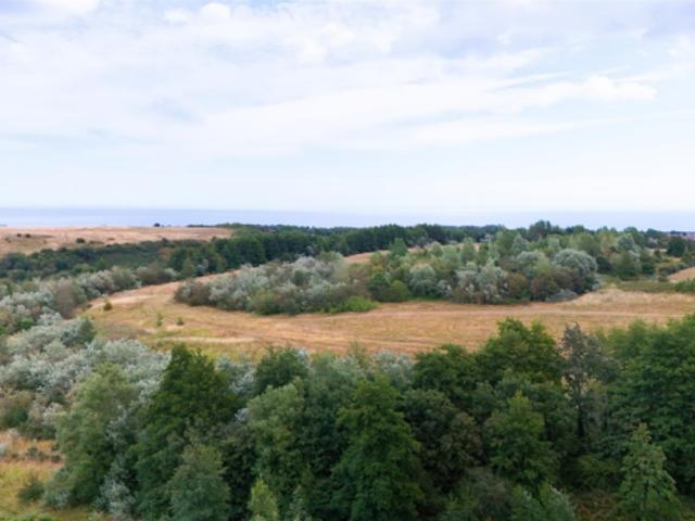 Bungalow for sale in Bracknell