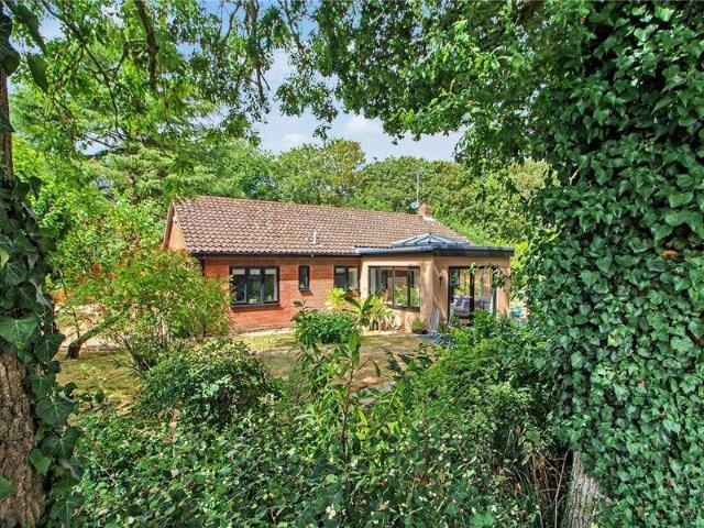 Bungalow for sale in Seething, Norwich
