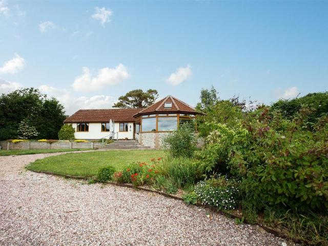 Bungalow for rent in Chardstock, Budlake