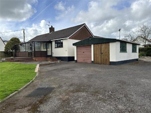 Bungalow for rent in Newton St Cyres, Devon