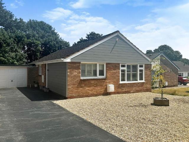 Bungalow for rent in Newton St Cyres, Devon