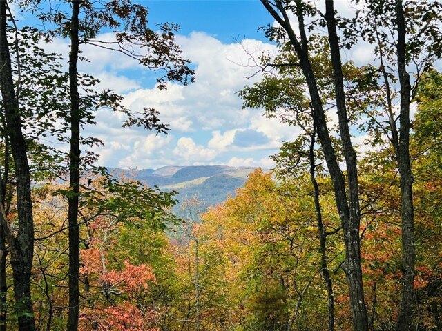 House for sale in Transylvania, North Carolina