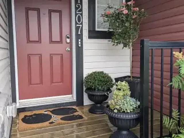 Condo for rent in Bow Ridge, Town of Cochrane