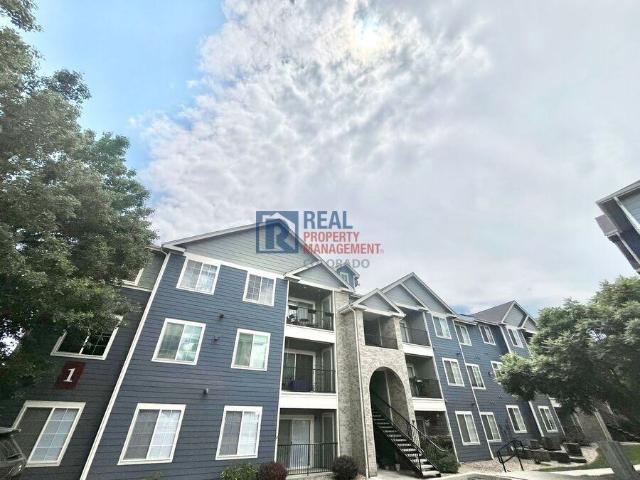 Condo for rent in Denver