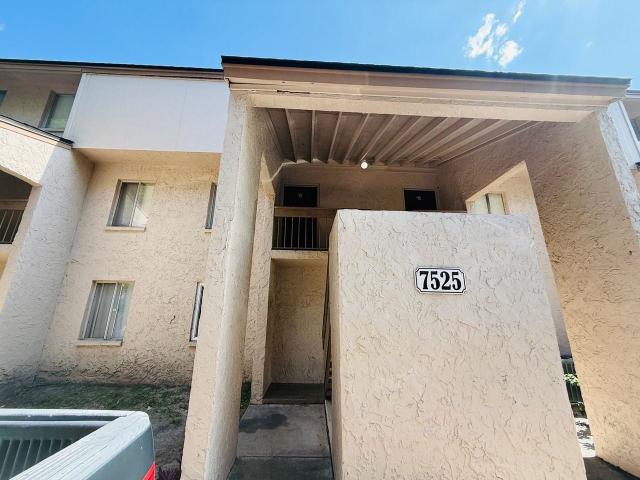 Condo for rent in Tampa, Florida