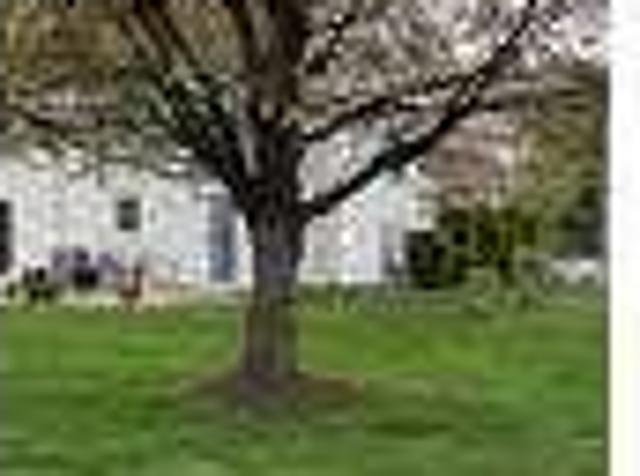 House for rent in Sayreville, New Jersey