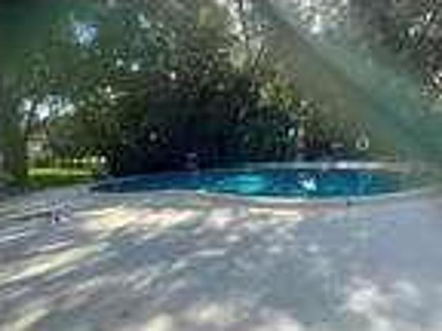 House for rent in Temple Terrace, Florida