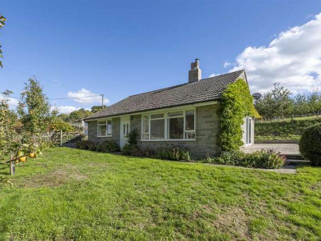 Bungalow for sale in Melbury Abbas, East Dorset