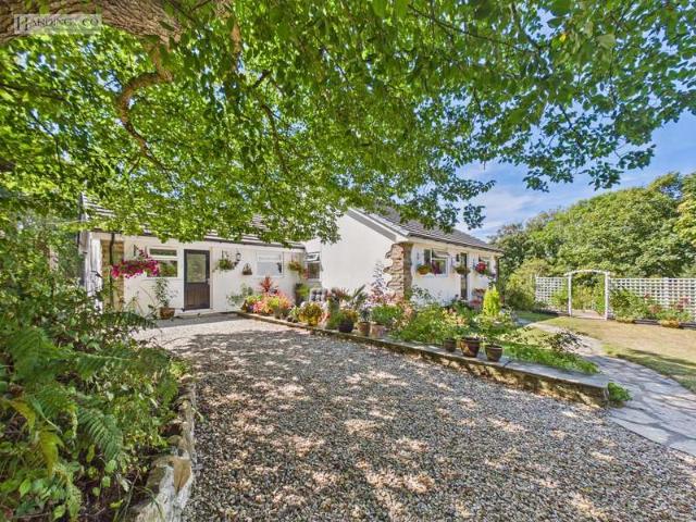 Bungalow for sale in Brandis Corner, Devon