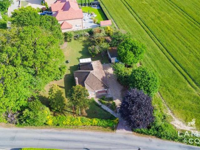 Bungalow for sale in Weeley, Dale Hill