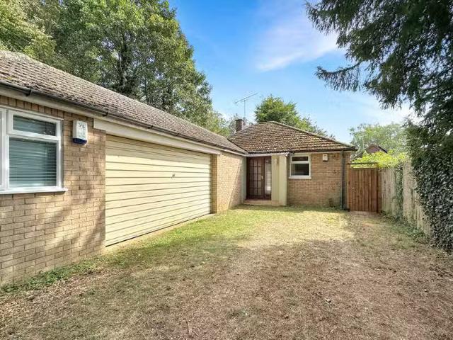 House for rent